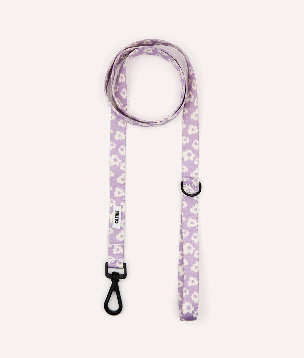 Juno póráz | Ibolya mintás