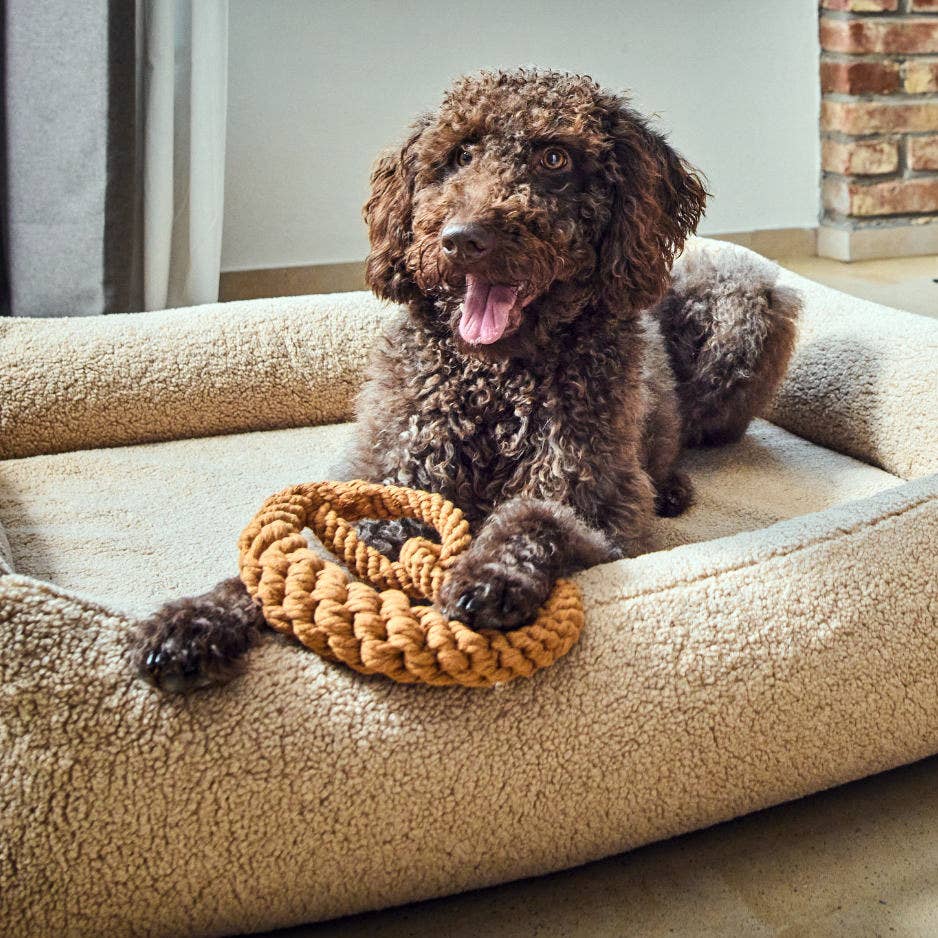 Britta perec kutyajáték