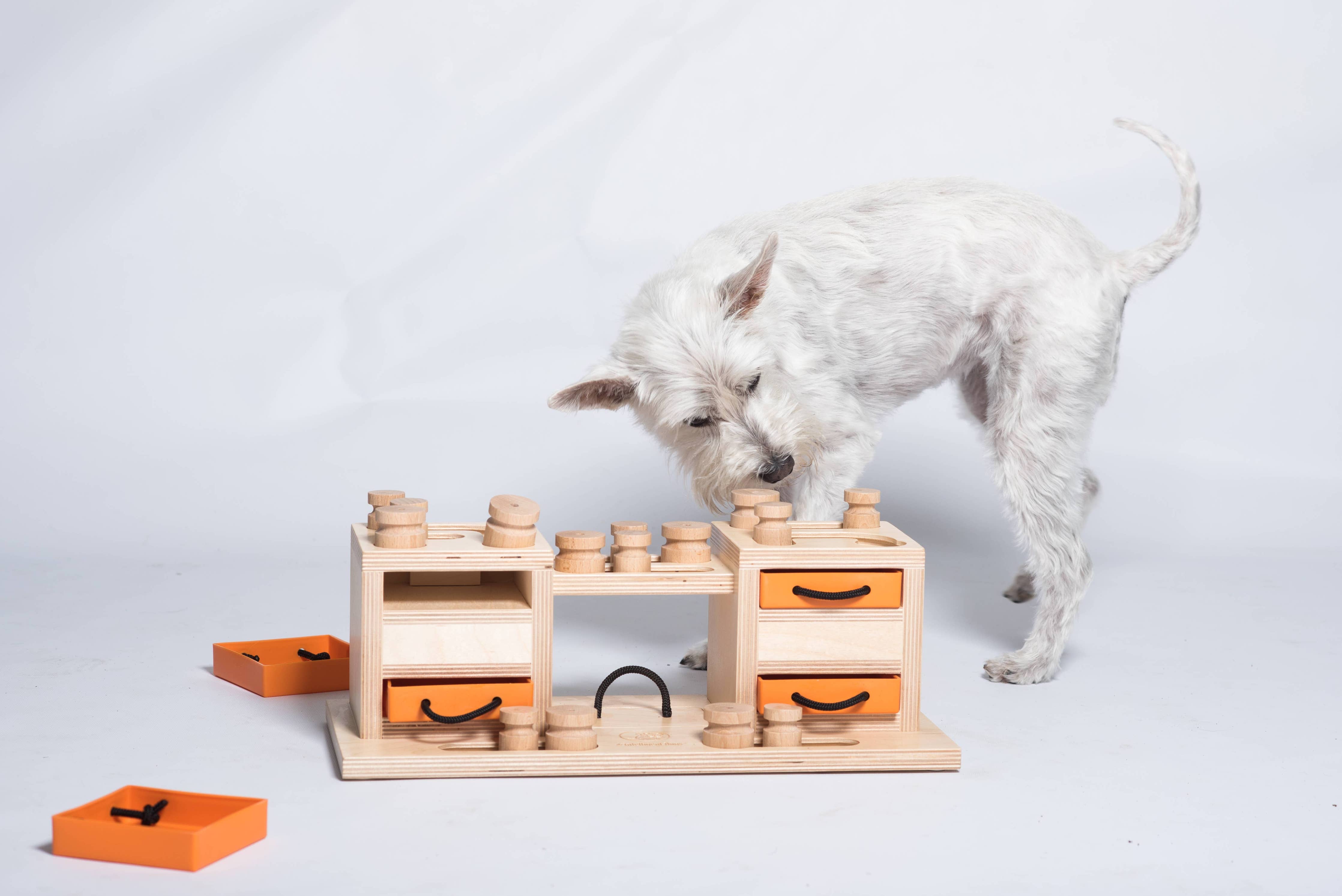 Two Towers – interaktív intelligens játék kutyáknak