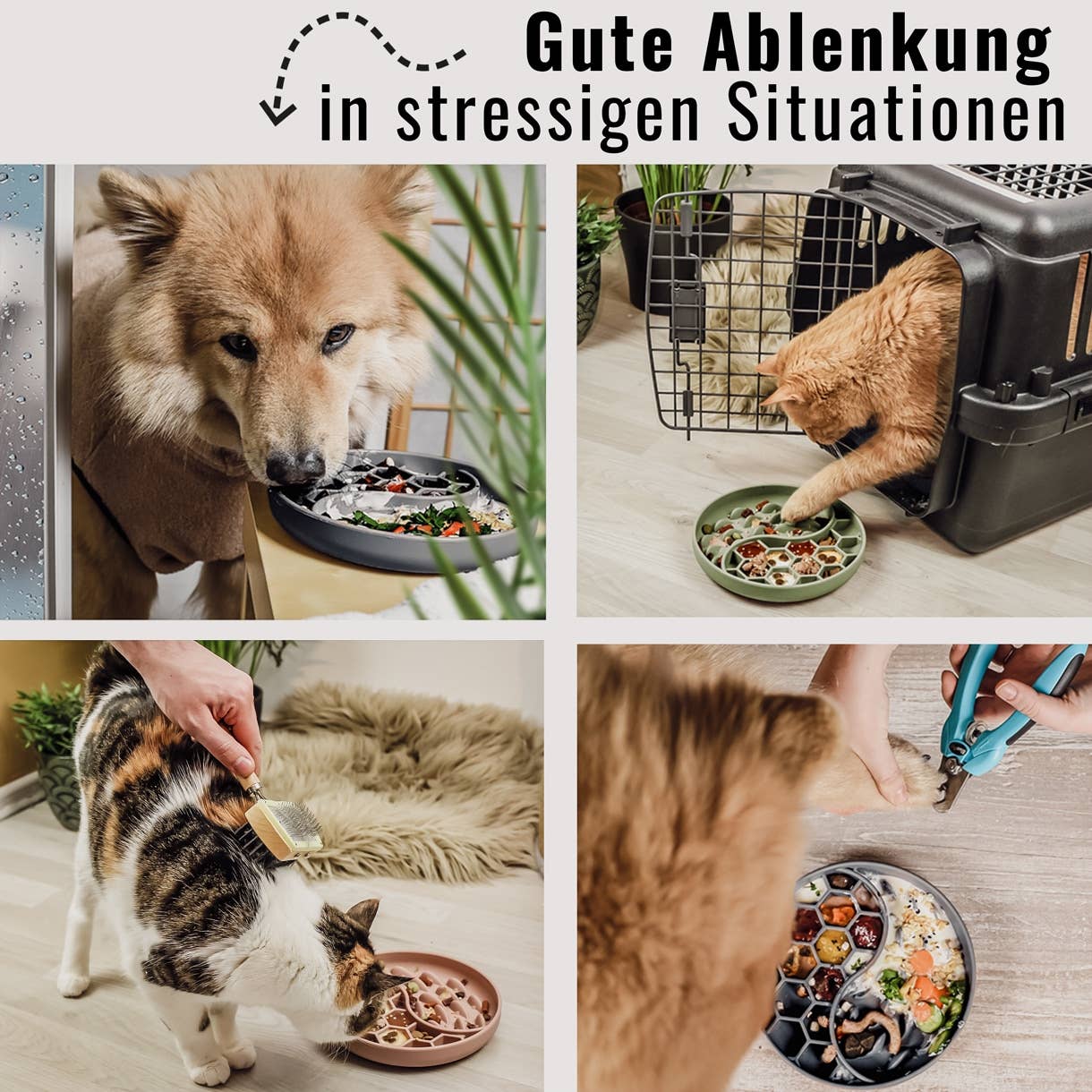 Habzsolásgátló és nyalogató tál