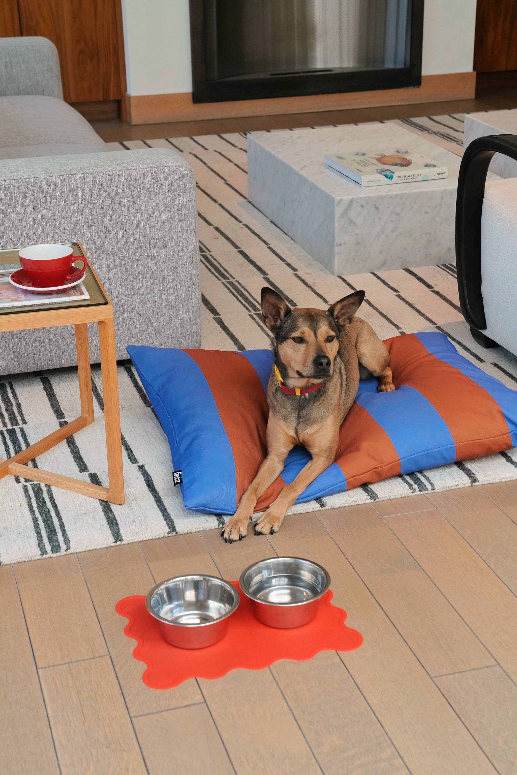 Fritz etetőalátét | Paradicsom piros