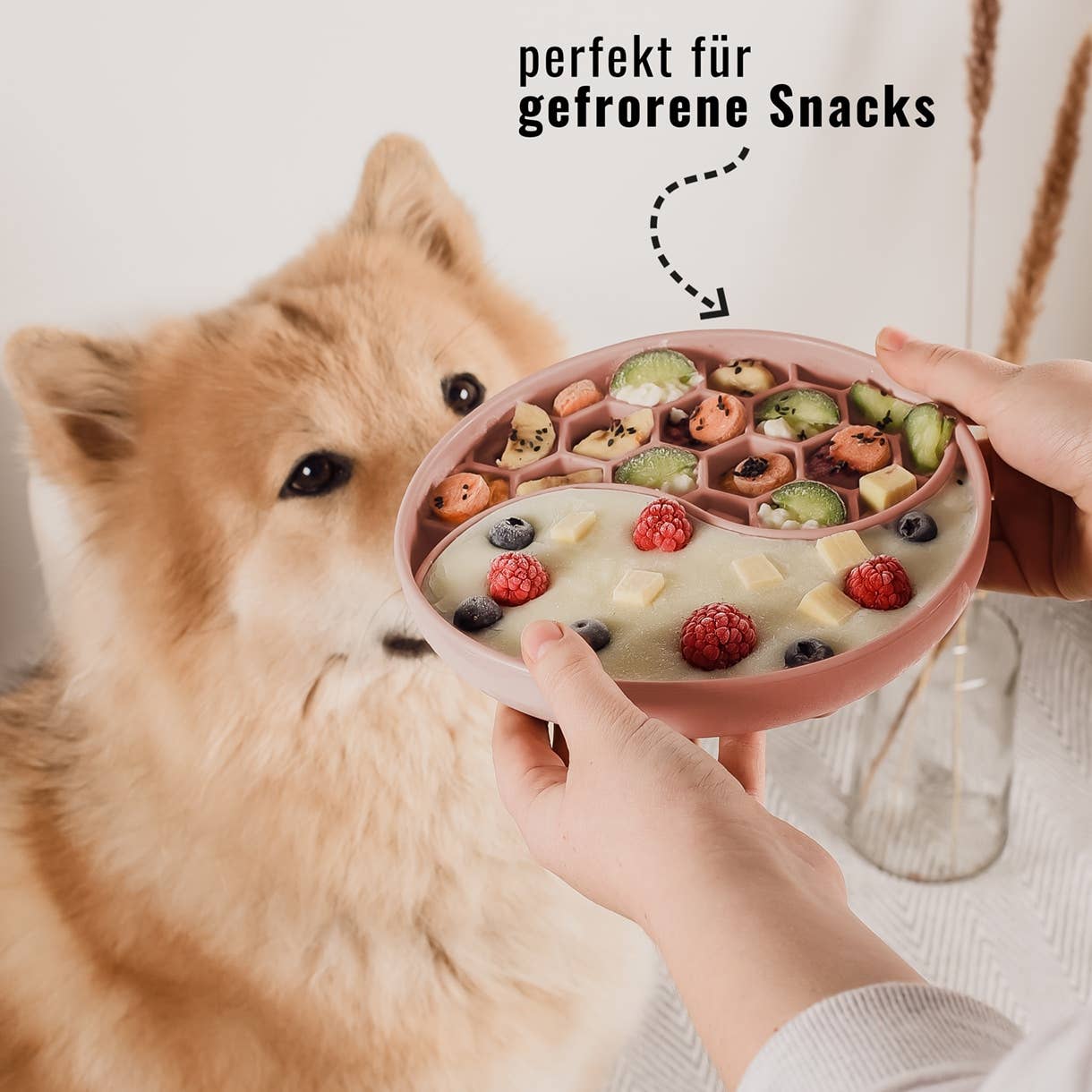 Habzsolásgátló és nyalogató tál