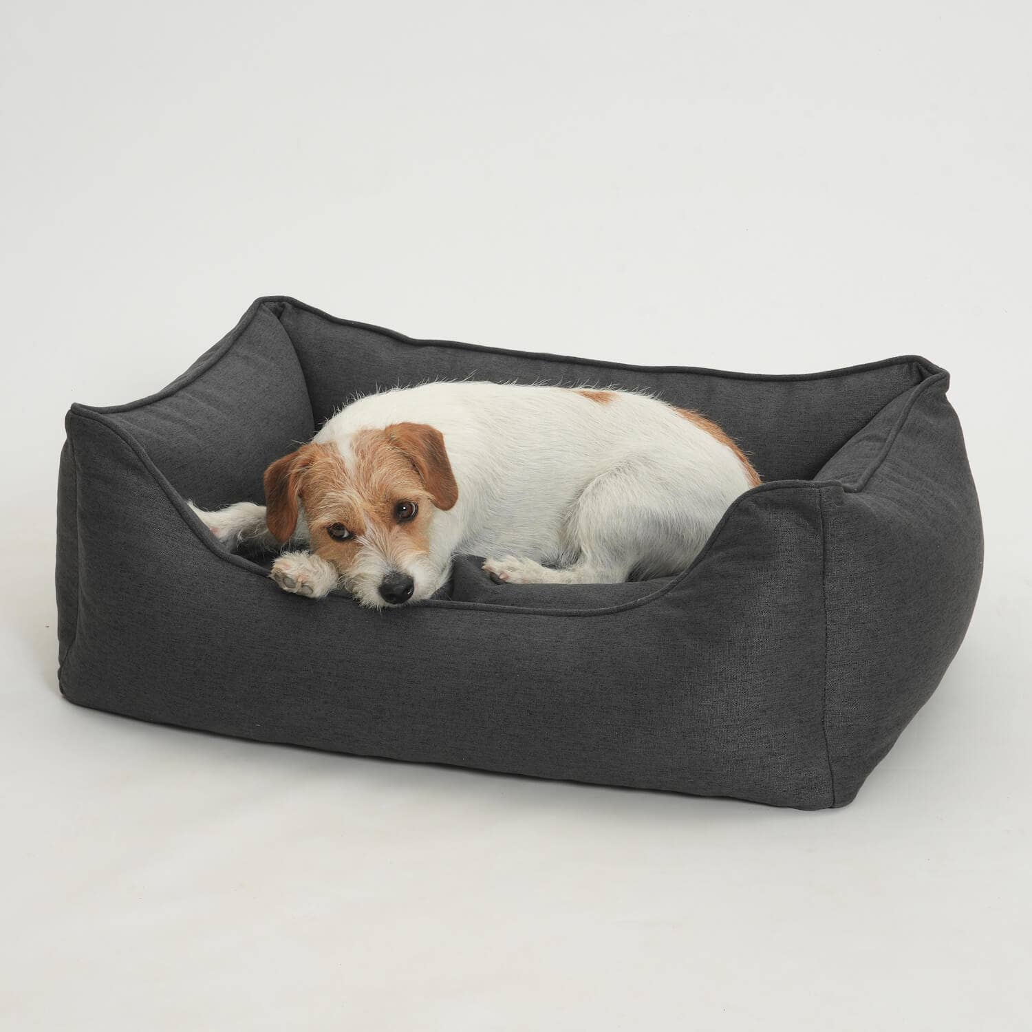 Ono kutyaágy | Grafitszürke