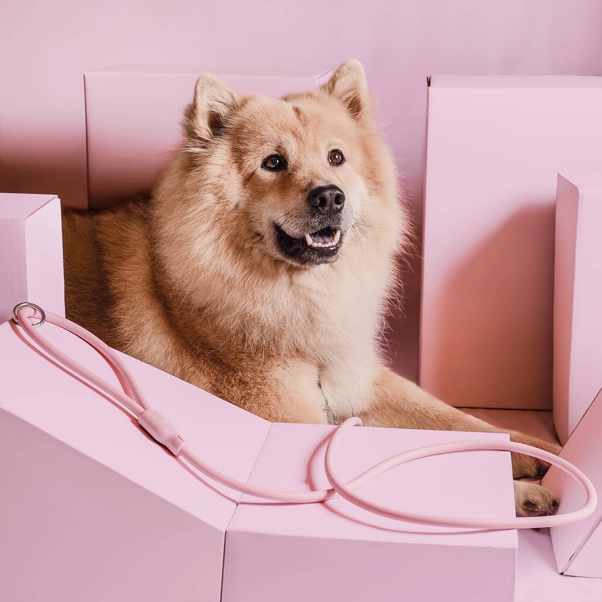 Loft Style vízálló póráz