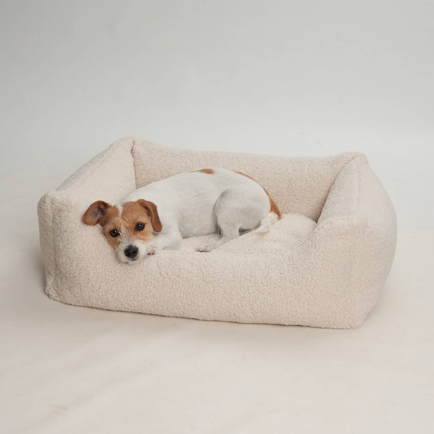 Paddy kutyaágy | Krémszínű