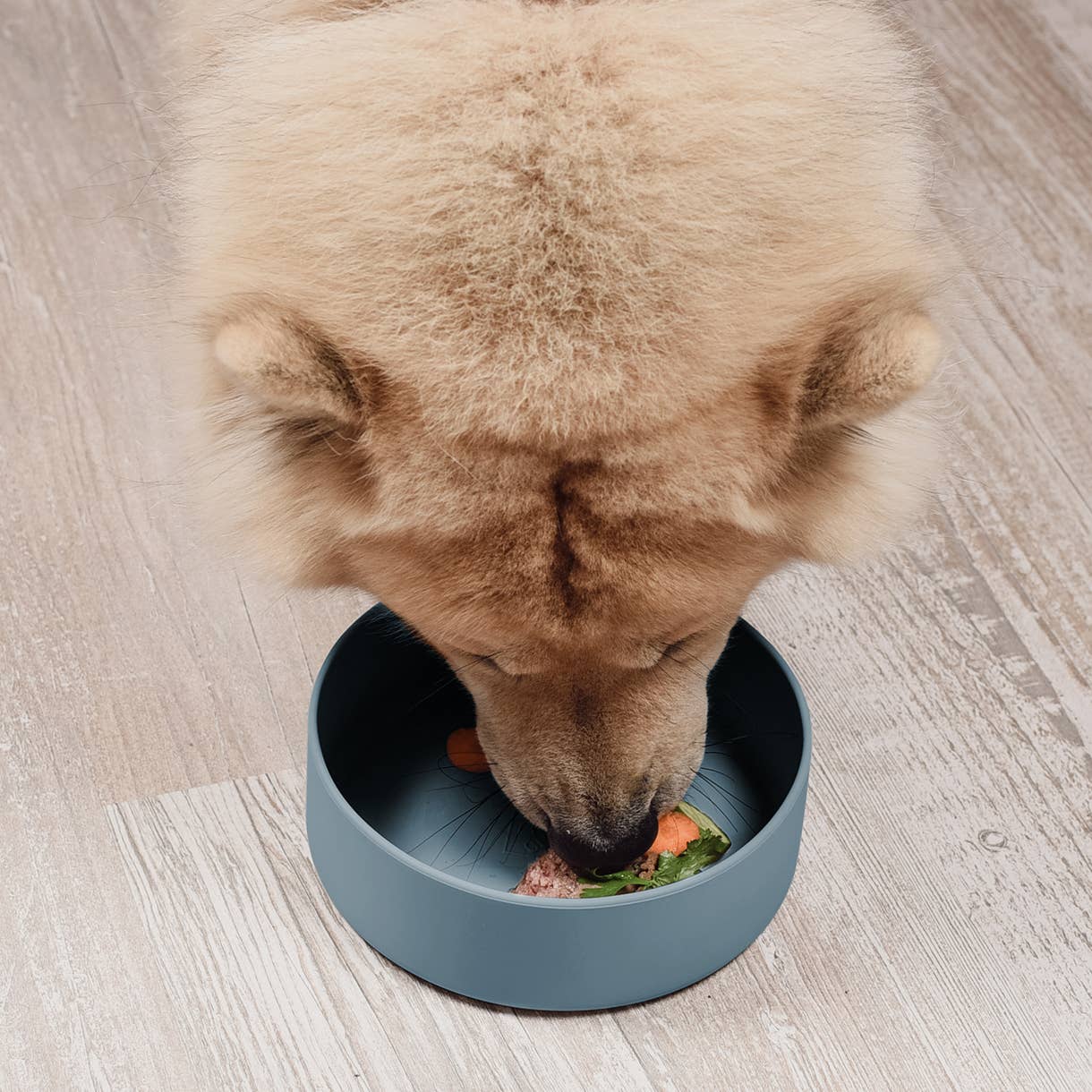 Csúszásmentes szilikon etetőtál kutyáknak és macskáknak