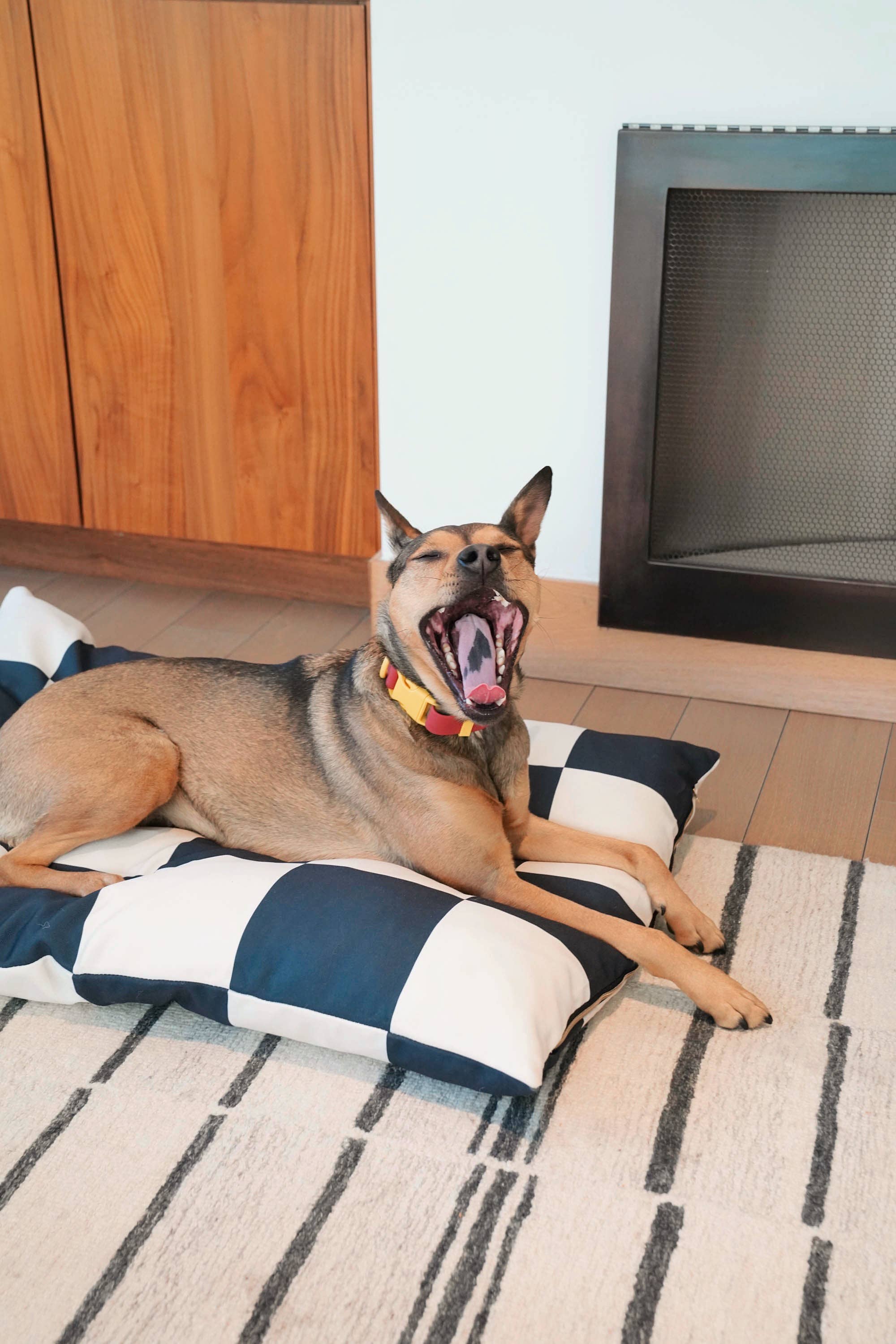 Fritz huzat | Black & White Goalgetter