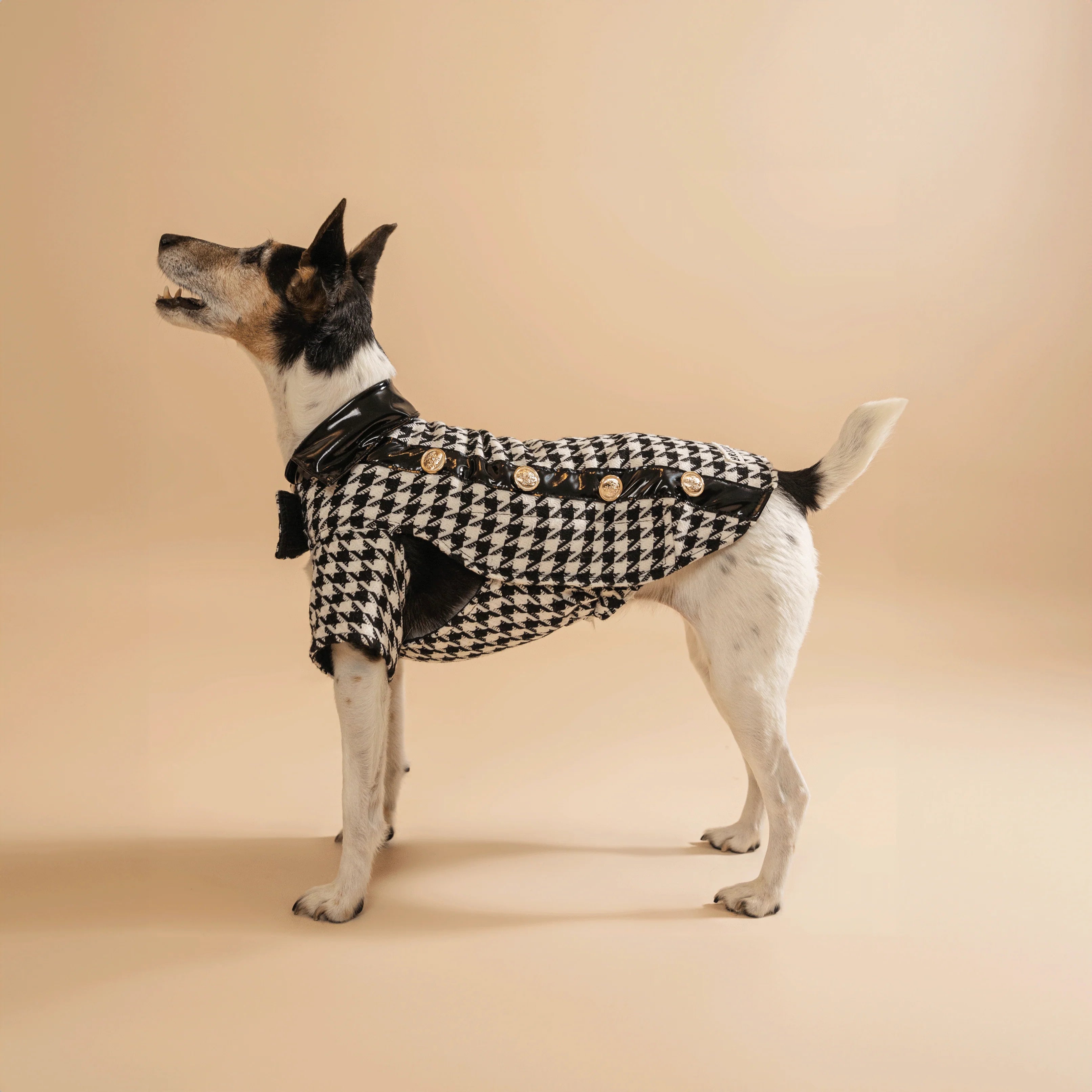 Classy átmeneti dzseki