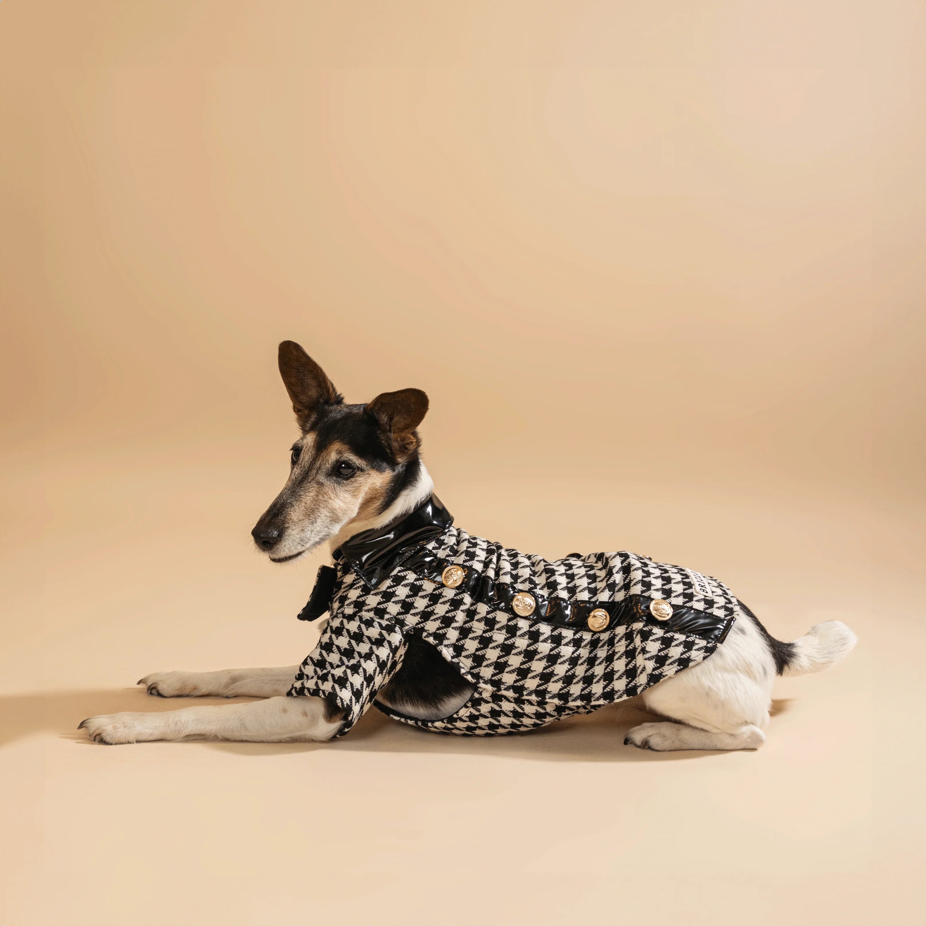 Classy átmeneti dzseki