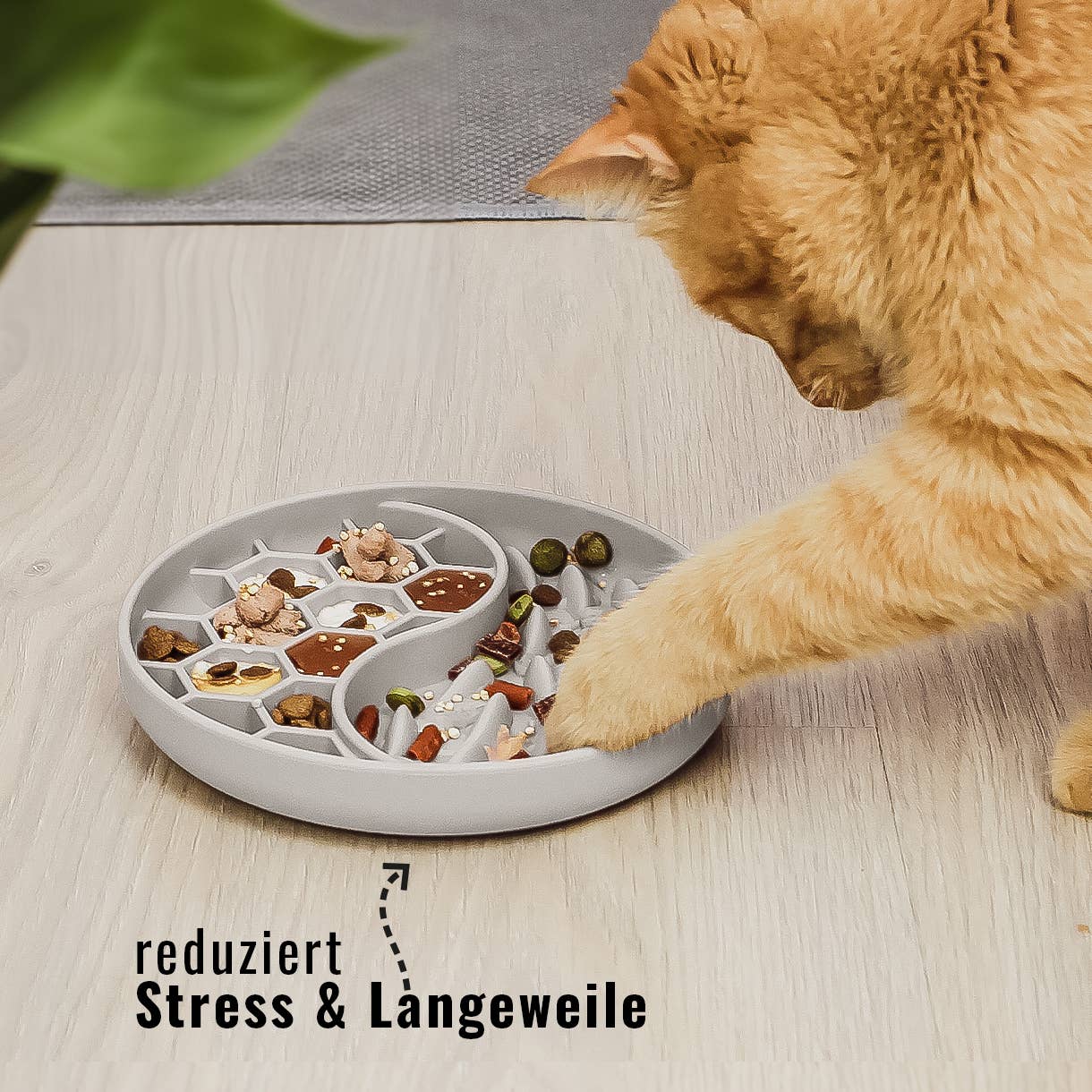 Habzsolásgátló és nyalogató tál