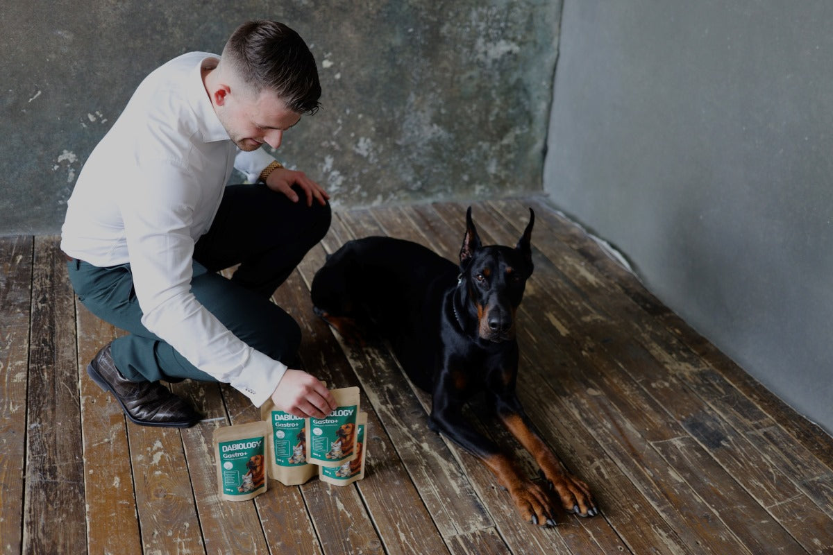 Dabiology Gastro+ huminsav