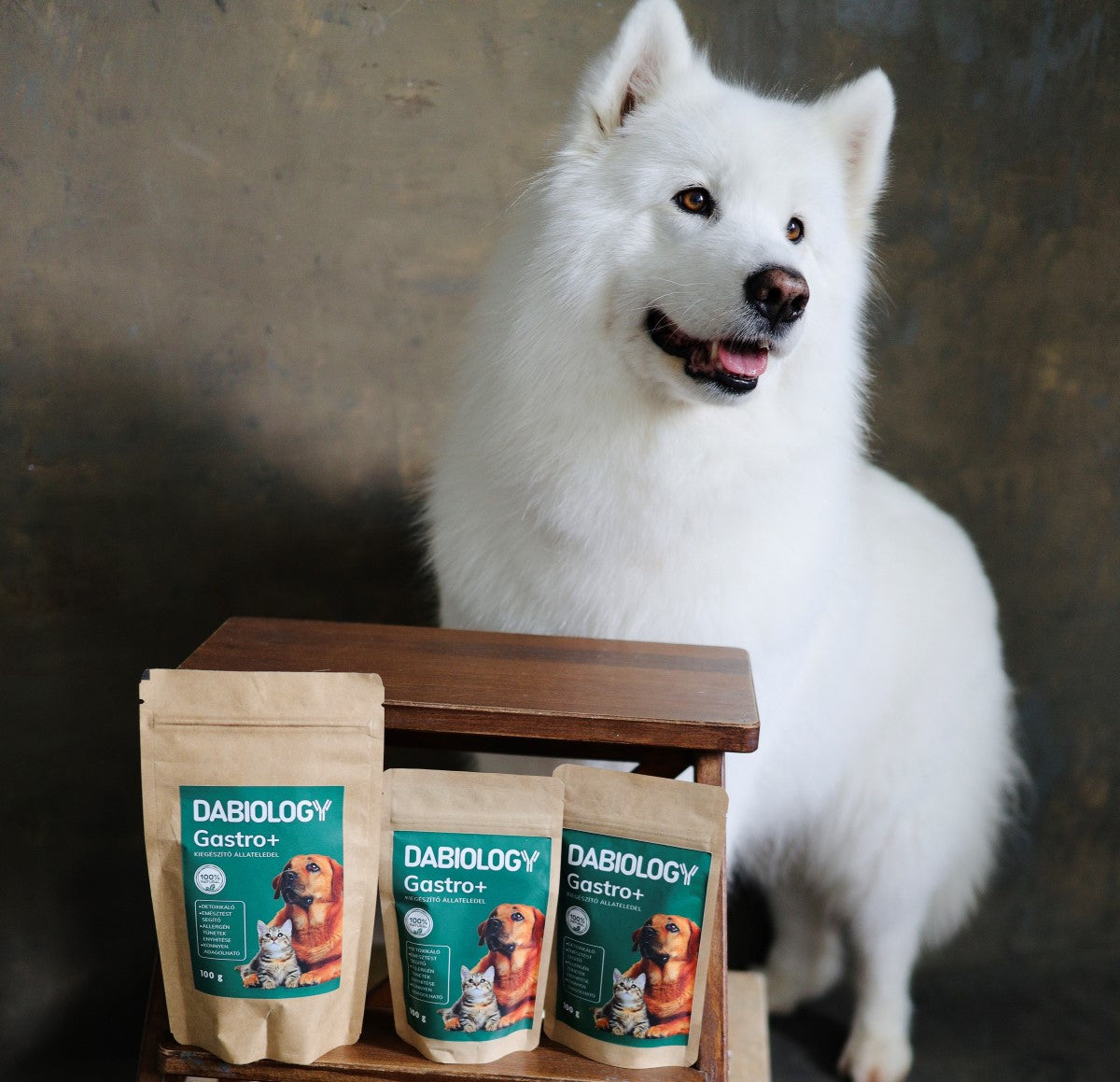 Dabiology Gastro+ huminsav