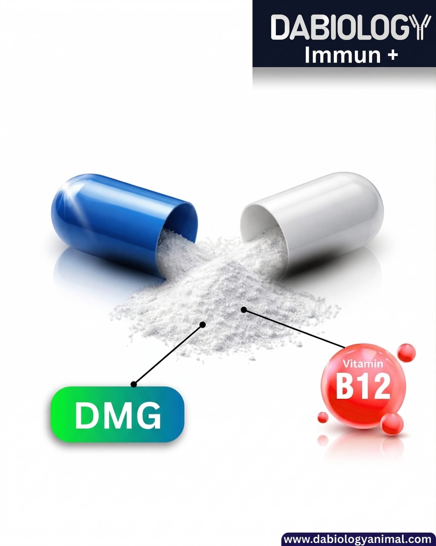 Dabiology Immun+ immunrendszer támogatás kutyáknak és cicáknak