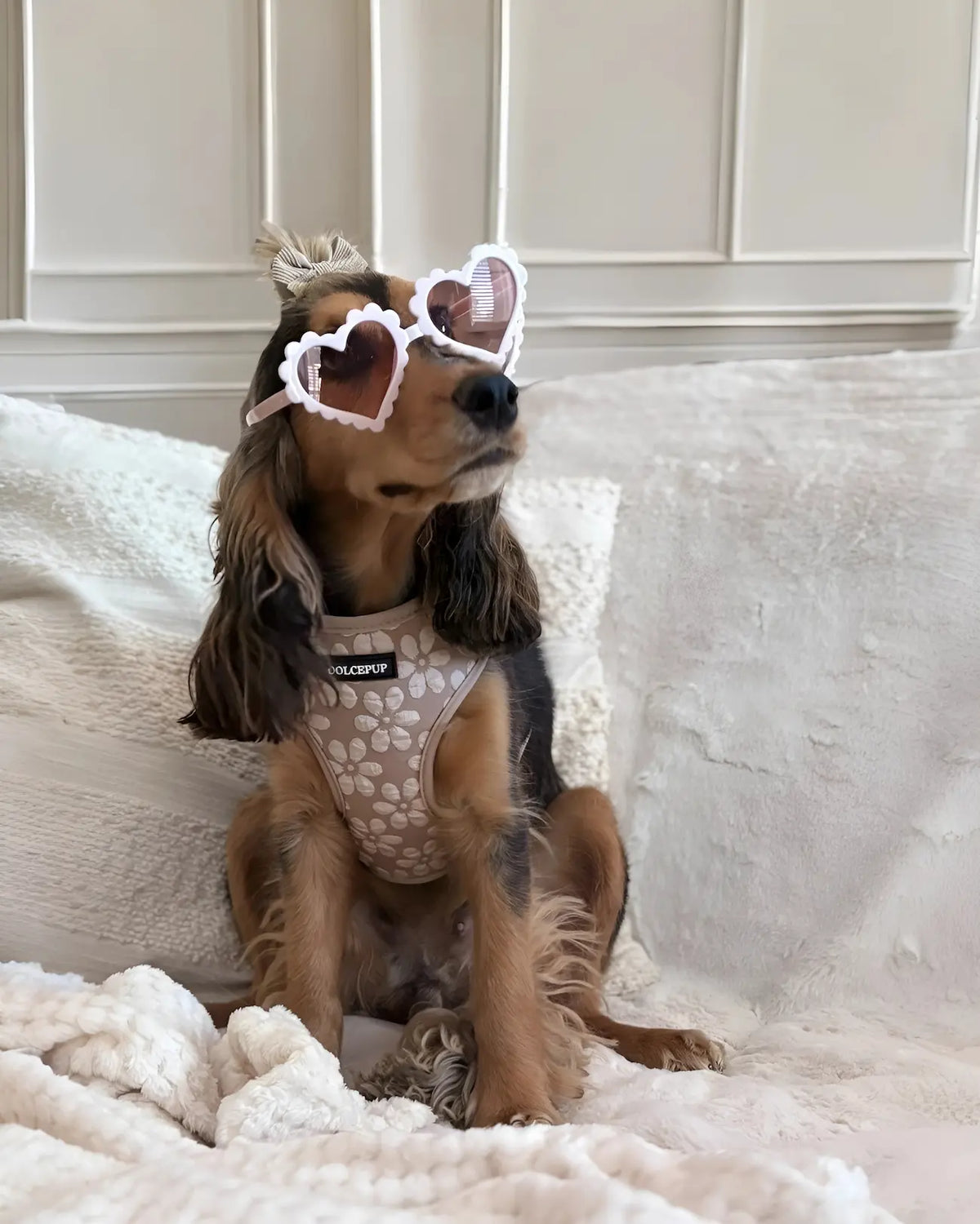 DolcePup Bloom Pup kutyahám