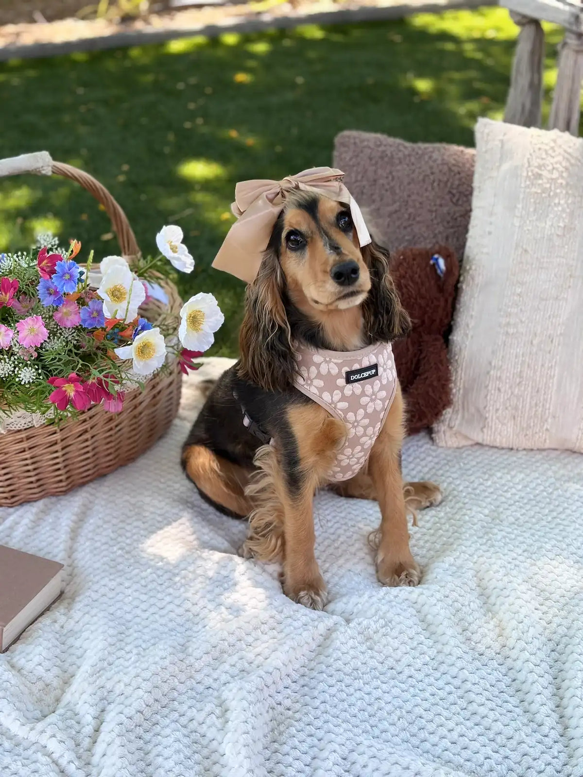 BLOOM PUP kollekció