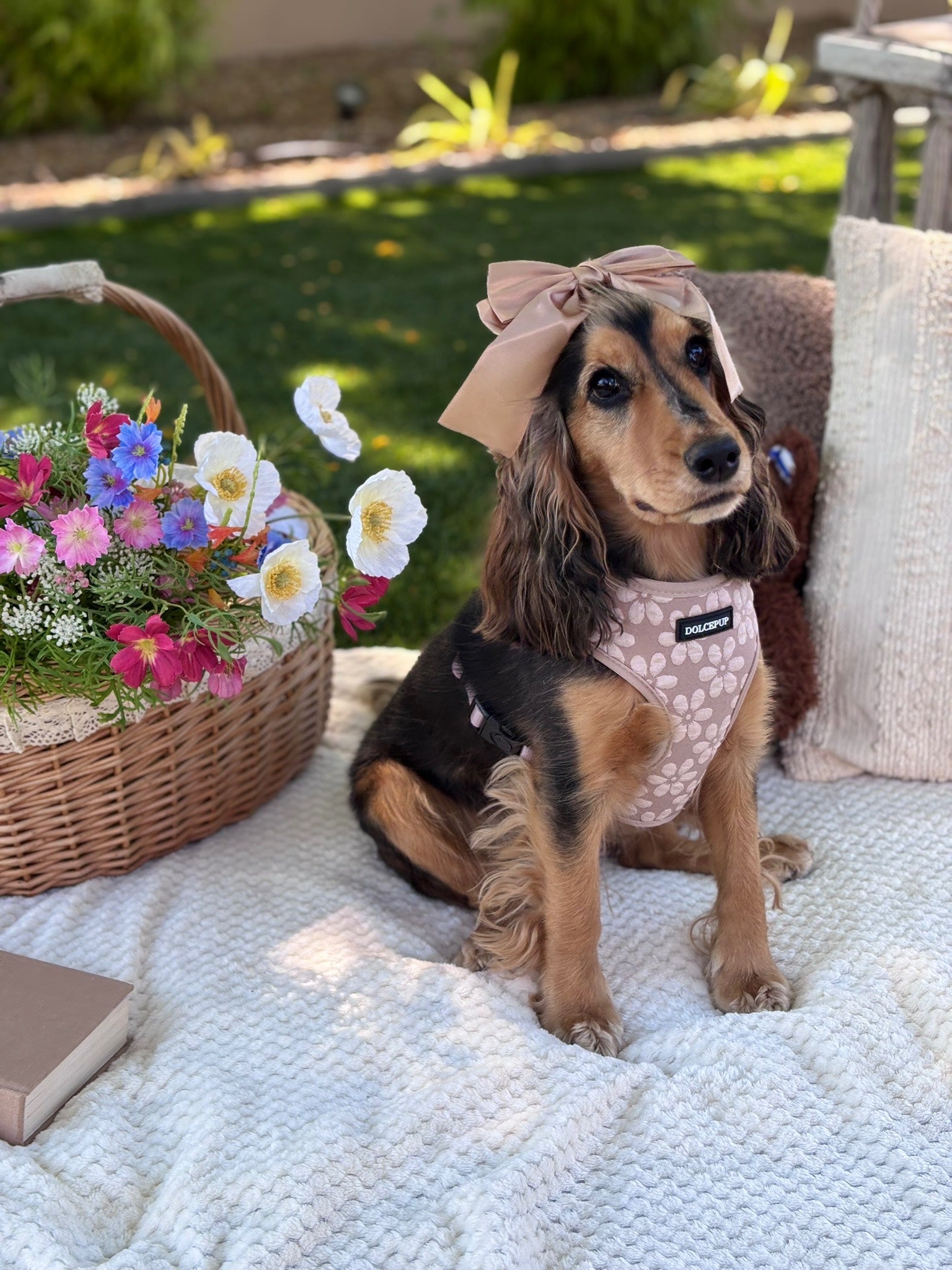 DolcePup Bloom Pup kutyahám