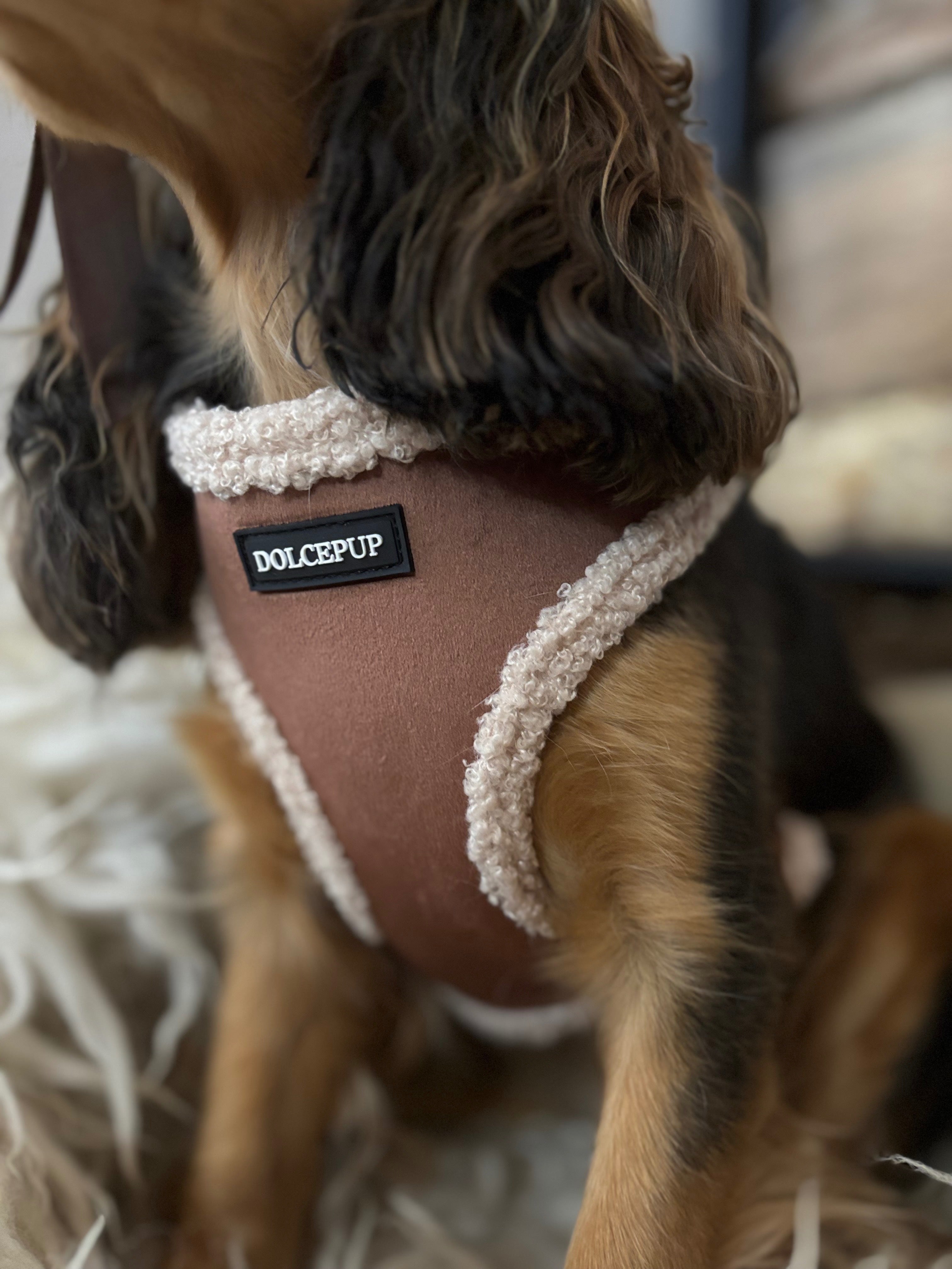 BROWNIE PUP kollekció