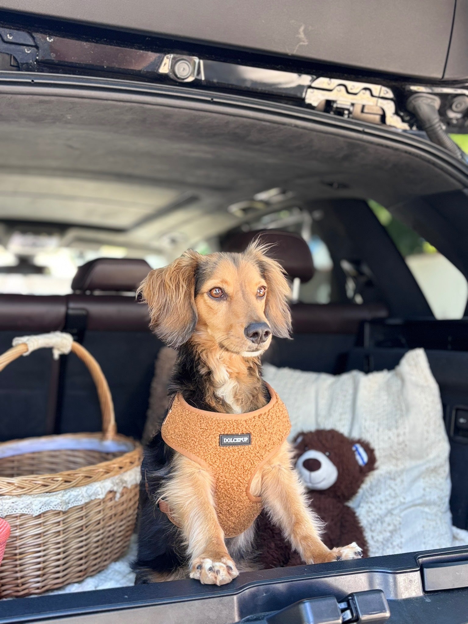 TEDDY CHOCO kollekció