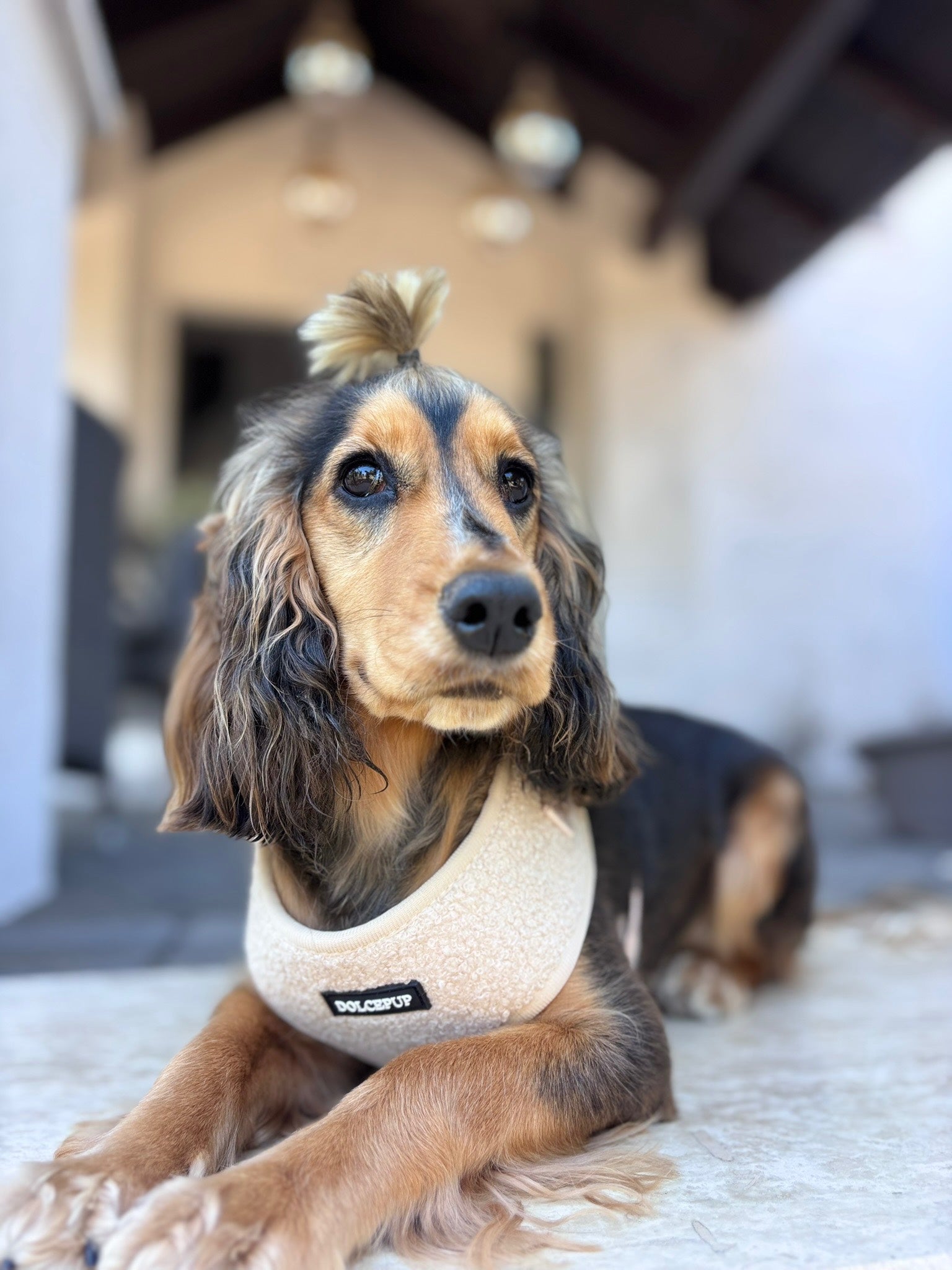 TEDDY LATTE kollekció