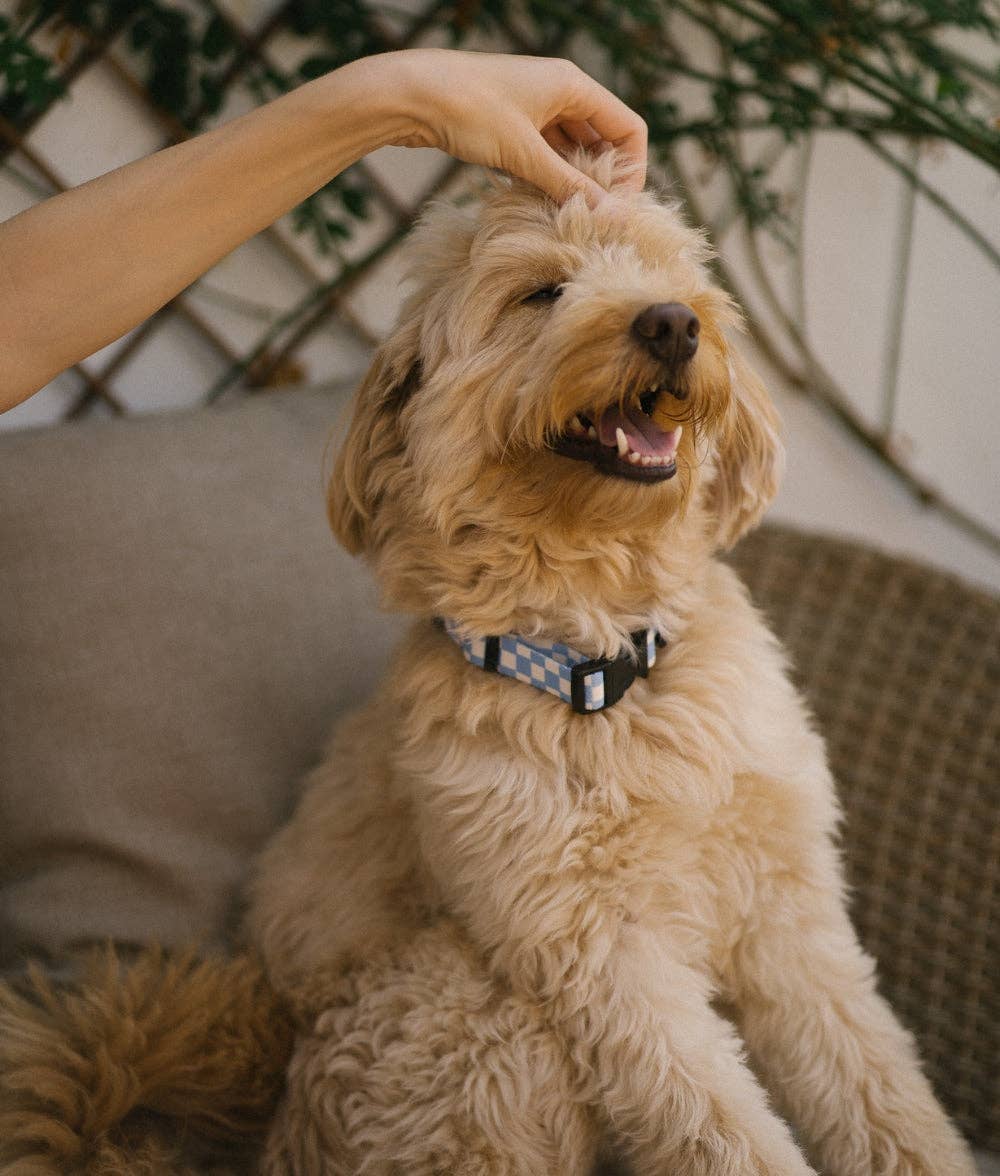 Juno nyakörv | Kék kockás