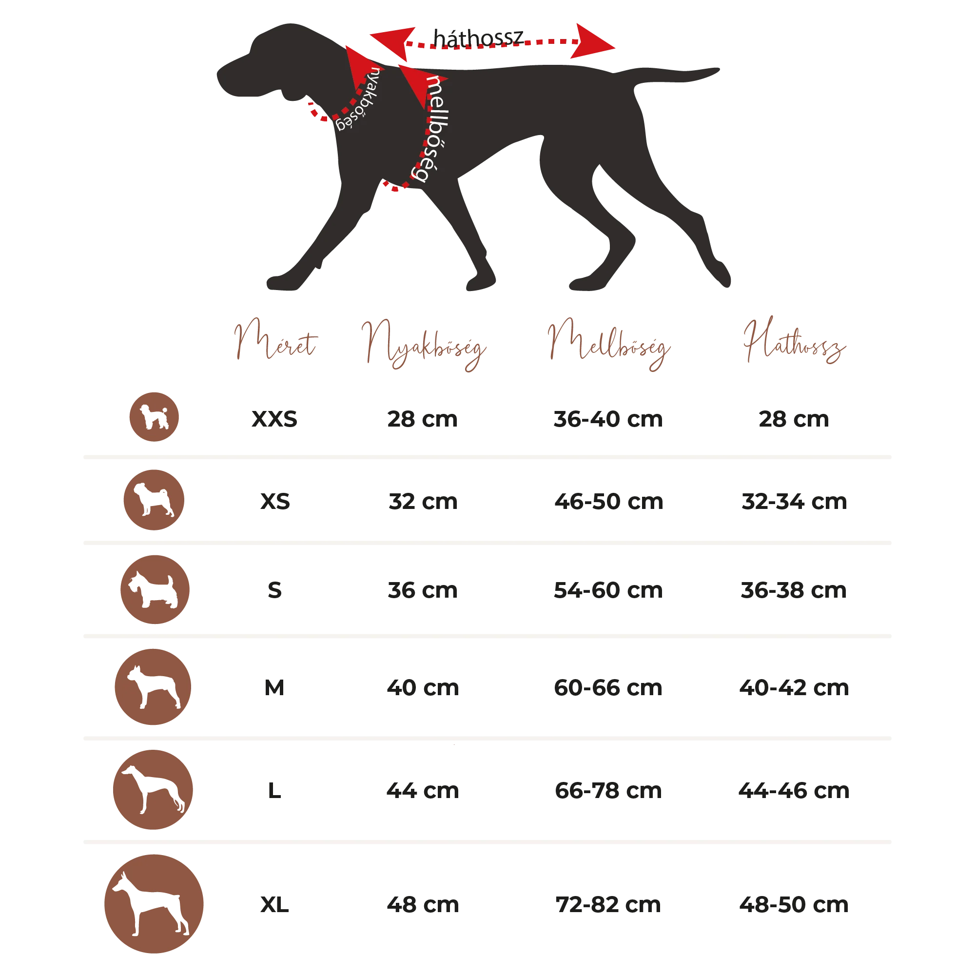 Midnight kutyakabát