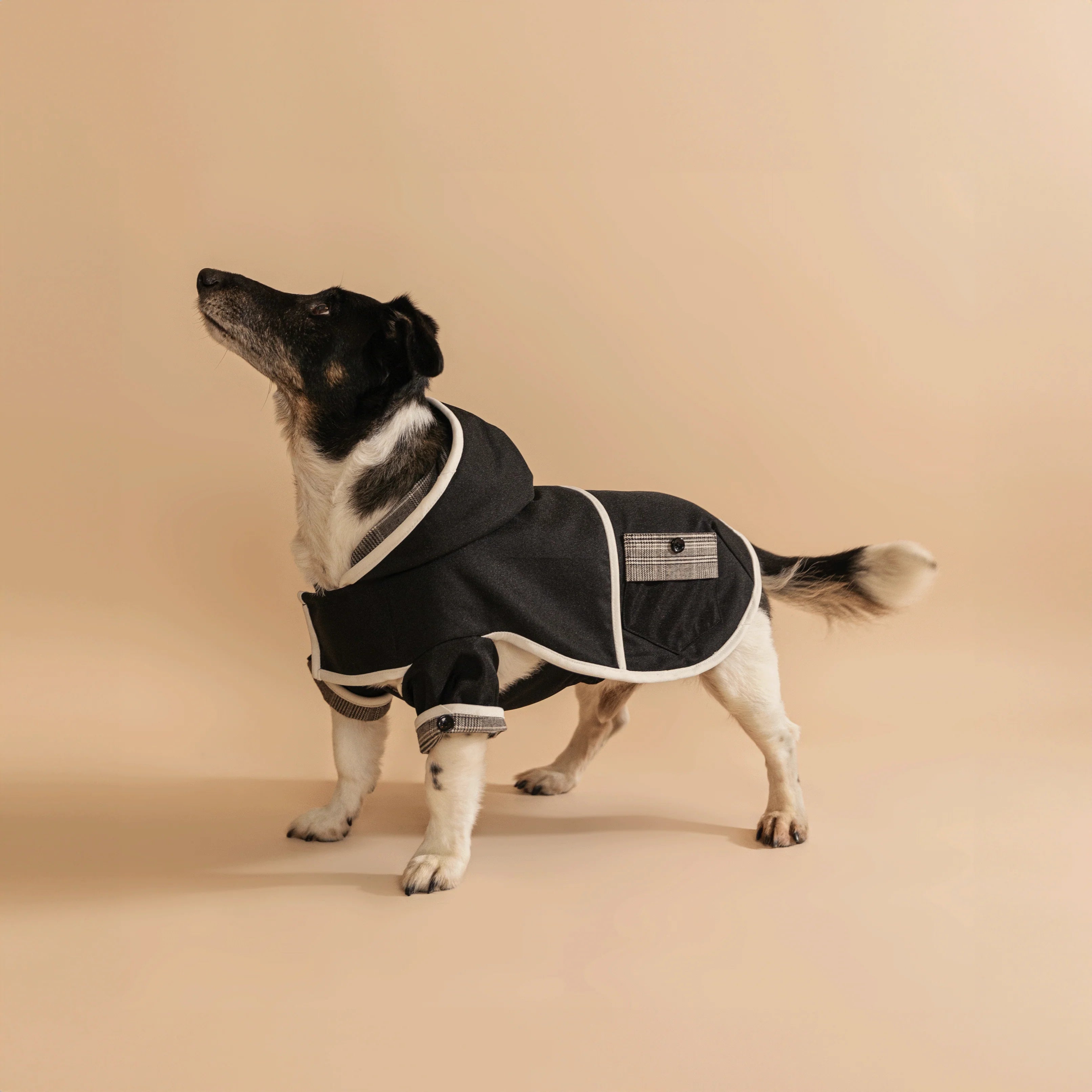 Midnight kutyakabát