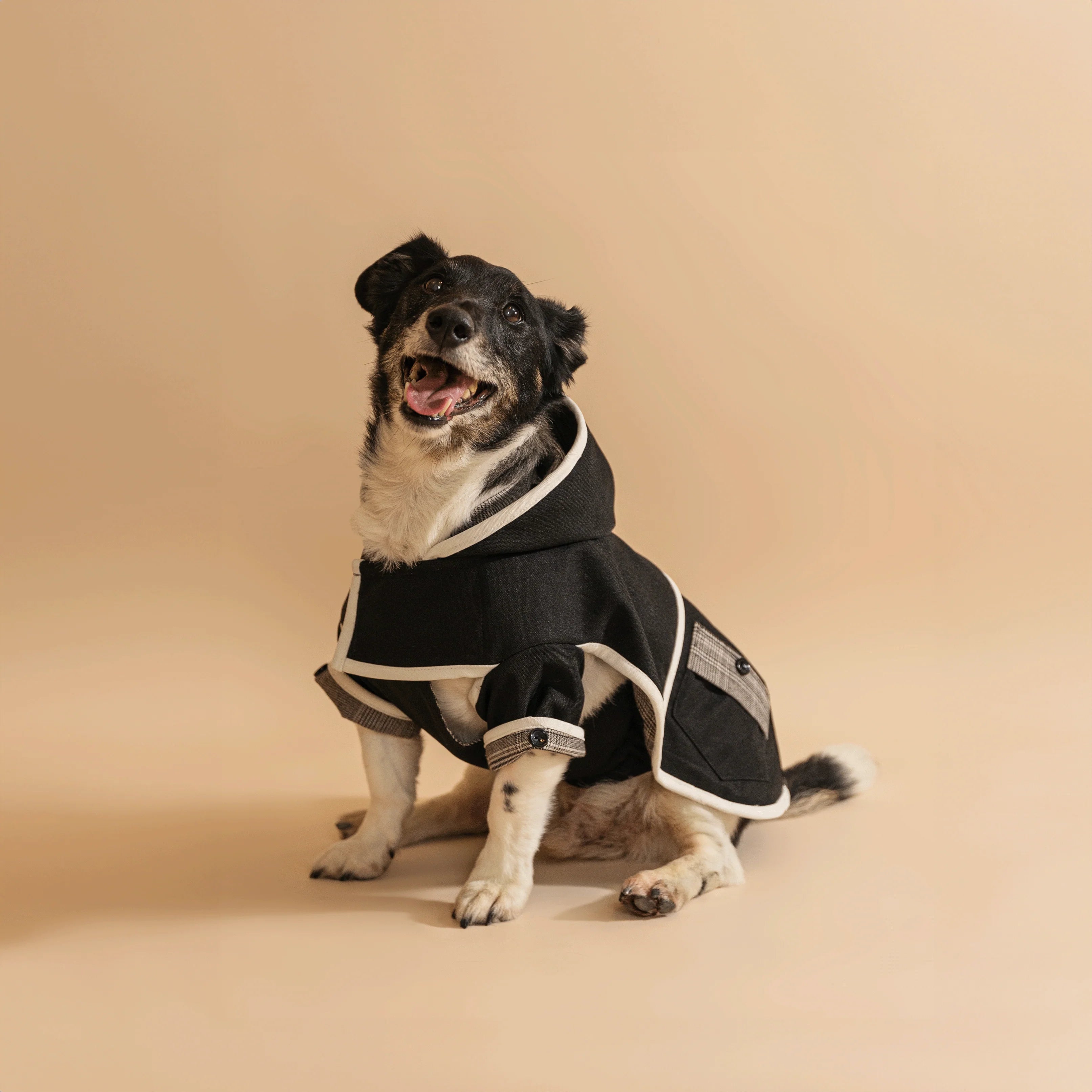 Midnight kutyakabát